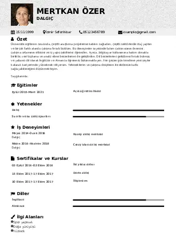 cv indir